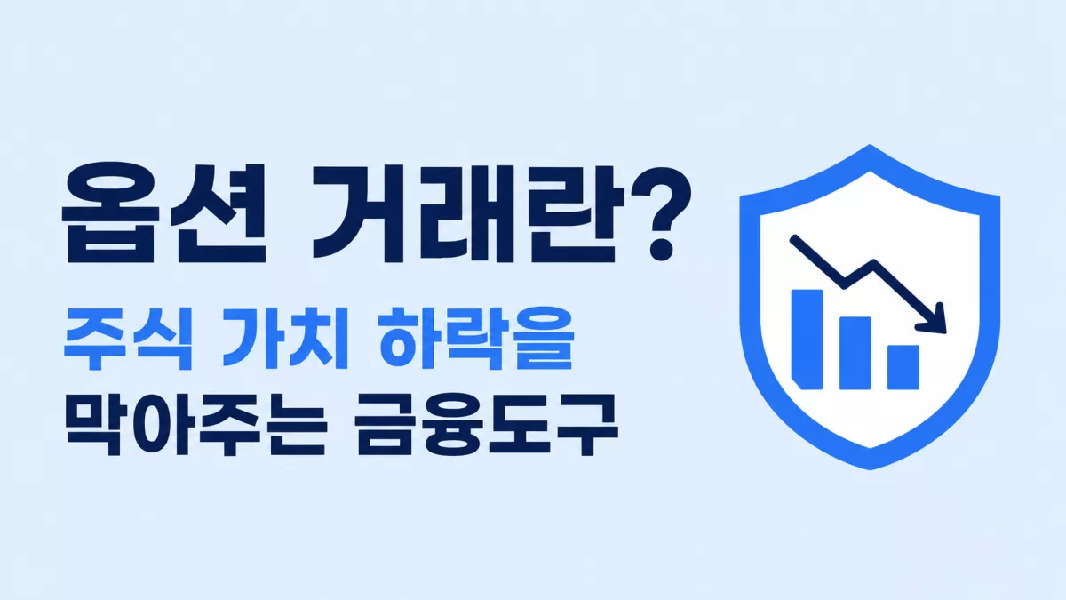 옵션 거래란? 주식 가치 하락을 막아주는 금융도구